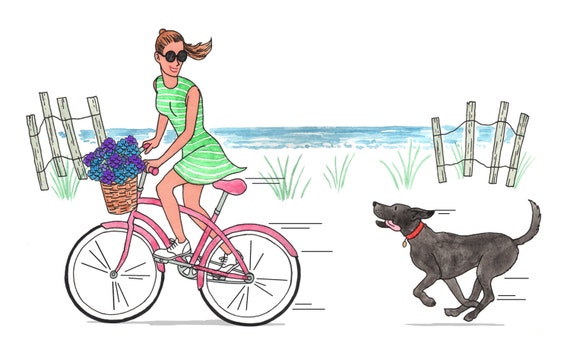 cape cod beach cruiser