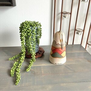 May include: A ceramic bell with a mountain scene painted on it. The bell is white with red, green, yellow, and brown accents. The bell is hanging from a white cord and has the text "Mt. Rainier" on the bottom. A green succulent plant is in a blue and white patterned pot on a wooden coaster.