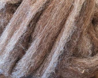 Brown Morrit Shetland Wool Roving