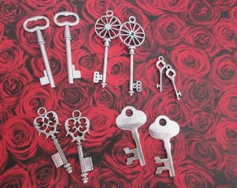 10 breloques clefs argentées de 2,9  à  6,4 cm # A