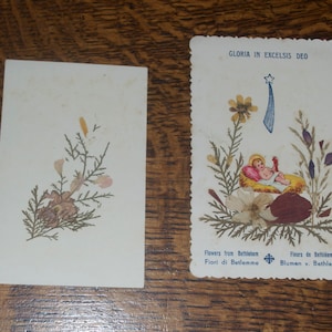 2 Cartes antiques d'herbier religieux, fleurs pressées de Bethléem Israel