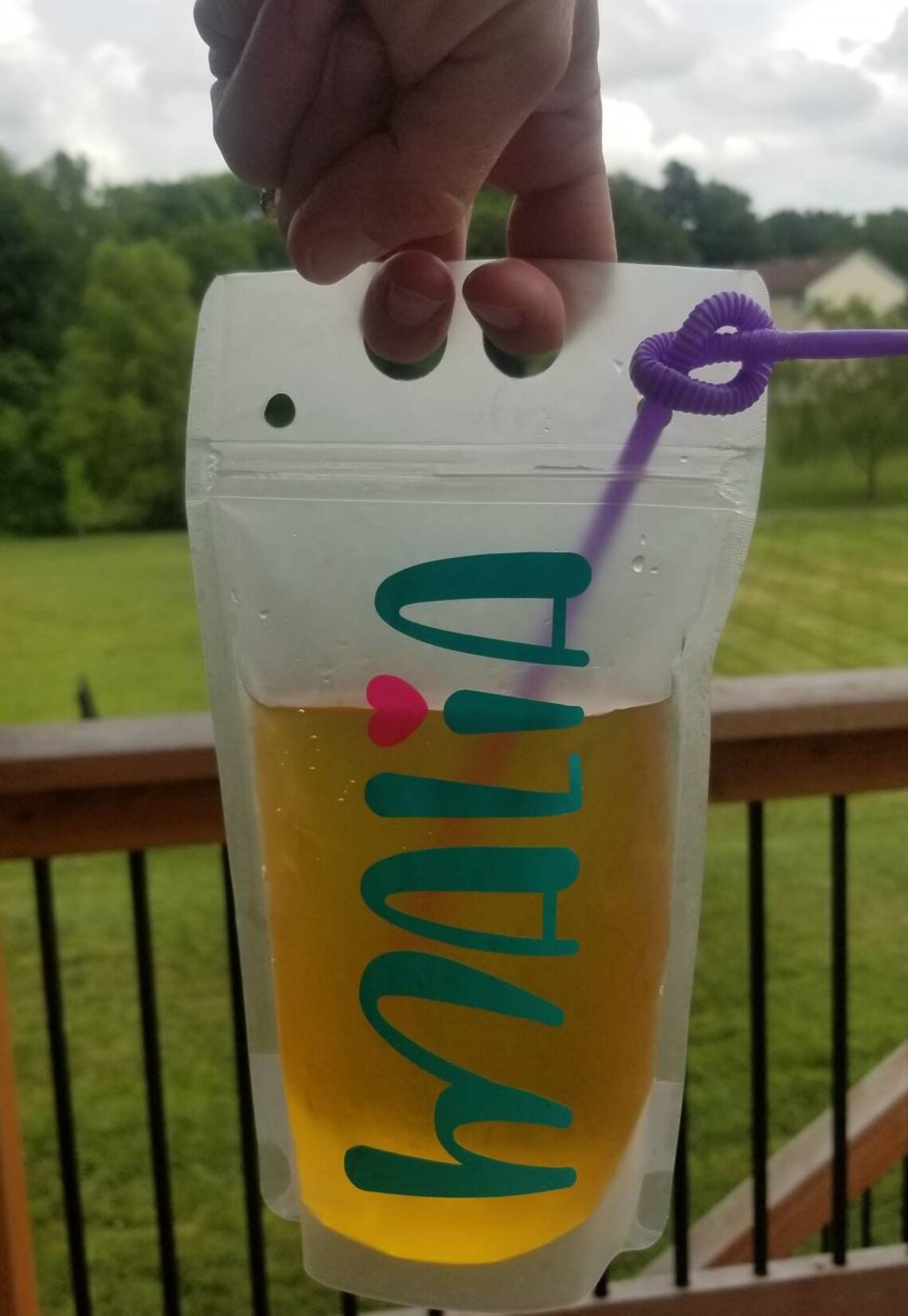 Personalized Reusable Drink Pouch with Straw Choose your Etsy