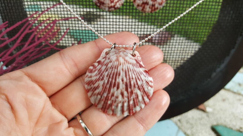 Free Domestic Shipping! Dark Red and White Calico Scallop Shell Beach Jewelry Set 19 Silver Chain Pendant with Matching Earrings