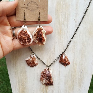 May include: A necklace and earrings set featuring brown and white seashells. The necklace has three seashells hanging from a bronze chain. The earrings are simple and feature one seashell each.