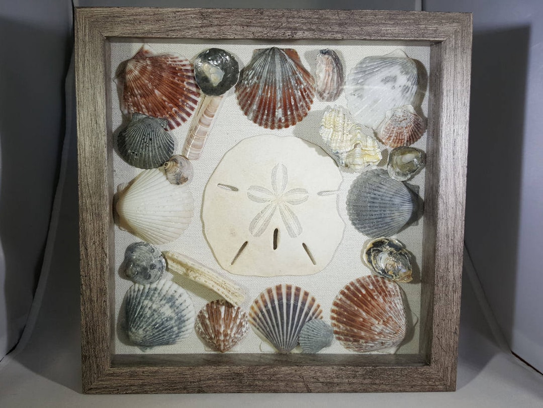Shallow Seas - Seashell Shadow Box - Mermaid Sand Dollar Beach Decor ...
