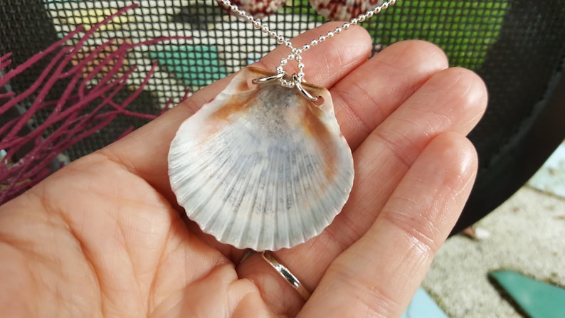 Free Domestic Shipping! Dark Red and White Calico Scallop Shell Beach Jewelry Set 19 Silver Chain Pendant with Matching Earrings