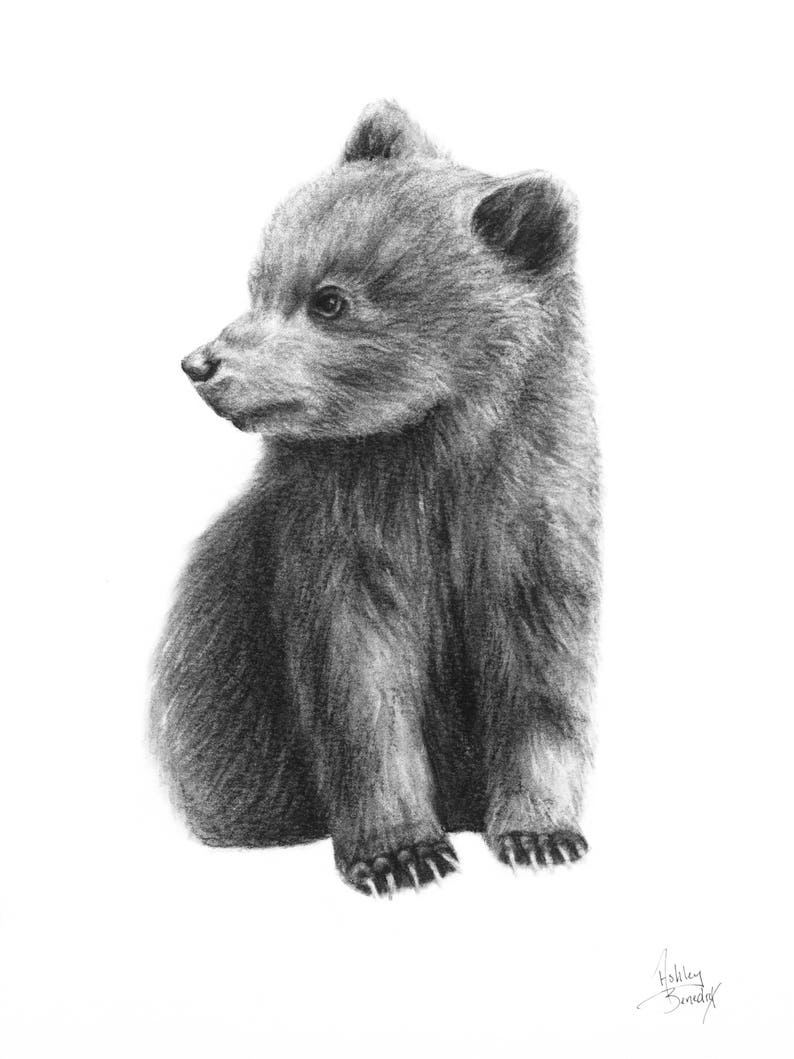 Bear Cub Charcoal Drawing Art Print Hand Drawn Baby Bear Gifts Etsy