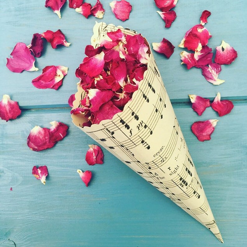 Sheet Music Confetti Cones Wedding Petal Cones Rustic Flower Etsy