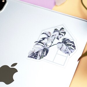 May include: A white and green tropical plant with large leaves is inside a white geometric frame. The sticker is on a white background.