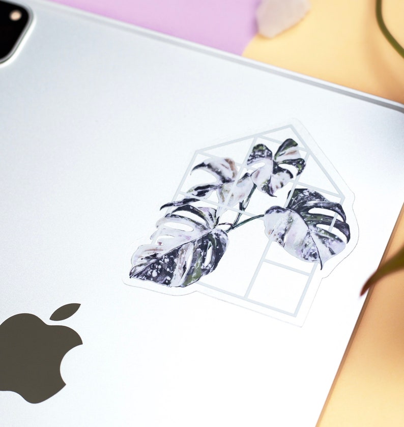 May include: A white and green tropical plant with large leaves is inside a white geometric frame. The sticker is on a white background.
