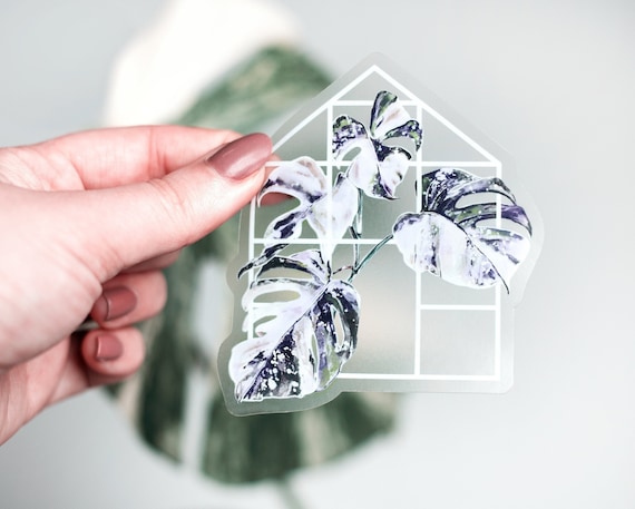 Monstera Variegata Sticker | Plant Mom Home Decor | Monstera Albo Botanical Sticker Vinyl