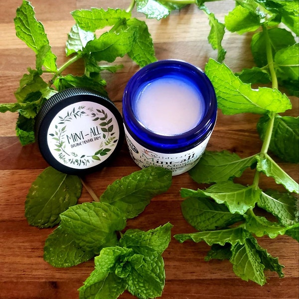 Mint All Organic Herbal Sore Muscle Aromatherapy Menthol Balm