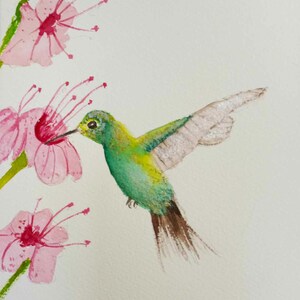 Fushia and Hummingbird