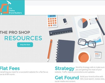 Professional wordpress website design and development for your business to thrive!