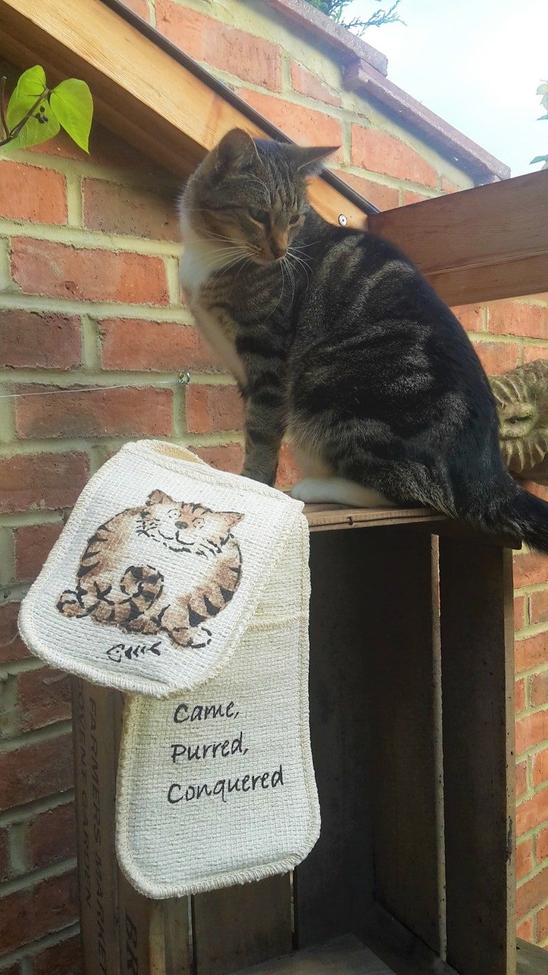 May include: A tabby cat sits atop a wooden crate, with a matching oven mitt and pot holder set featuring a cartoon cat design. The text "Came, Purred, Conquered" is printed on the oven mitt. The background includes a brick wall and greenery.