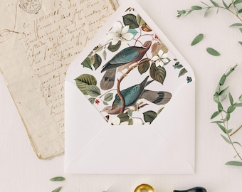 Pigeon Bird Euro flap Envelope Liner