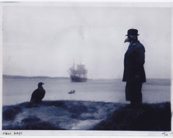 photo vintage, Stockholm 1937, photo ancienne rare, tirage photo gélatino-argentique édition unique, photo vintage, photographie d'oiseau océan