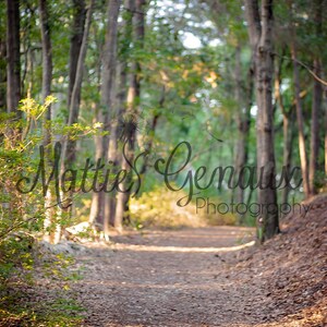 Forest Path Digital Backdrop