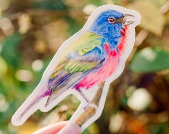 Colorful Bird Sticker Backyard Bird Sticker Birdwatcher Waterproof Vinyl Art Sticker Decal Painted Bunting