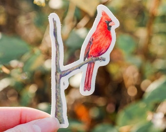Red Cardinal Bird Sticker Backyard Bird Sticker Birdwatcher Waterproof Vinyl Art Sticker Decal