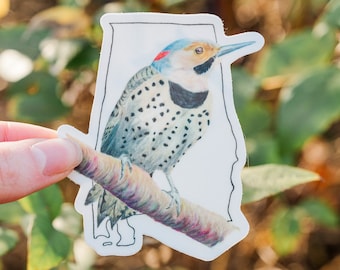 Vinyl Bird Sticker, Wall Decal, State Bird of Alabama: Northern Flicker (Yellowhammer)