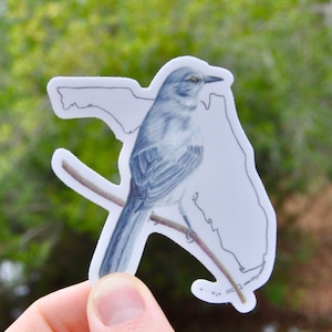 Adesivo per uccelli dello stato della Florida Adesivo per uccelli da cortile Birdwatcher Adesivo in vinile impermeabile Adesivo Mockingbird