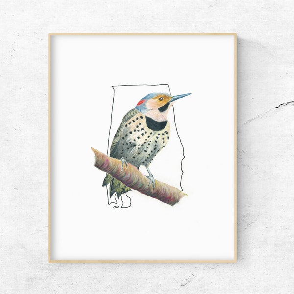 Alabama State Bird, Impresión al aire libre, Arte de aves: Northern Flicker