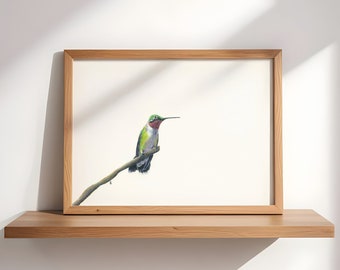 Bird Wall Art for Living Room Gallery Nursery Art Print Hummingbird