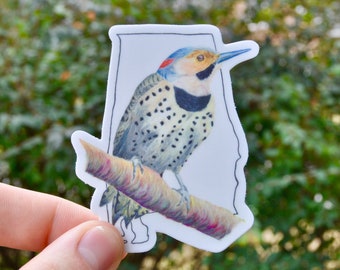 Yellowhammer Alabama State Bird Sticker Backyard Bird Sticker Birdwatcher Waterproof Vinyl Art Sticker Decal Northern Flicker