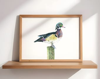 Bird Wall Art for Living Room Gallery Nursery Art Wood Duck Print Outdoor Art