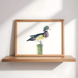 Bird Wall Art for Living Room Gallery Nursery Art Wood Duck Print Outdoor Art