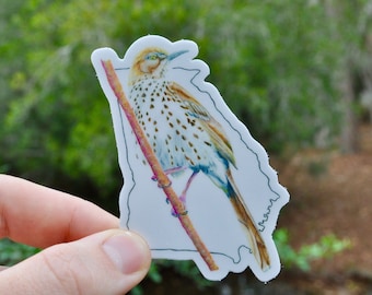 Georgia State Bird Sticker Backyard Bird Sticker Birdwatcher Waterproof Vinyl Art Sticker Decal Brown Thrasher