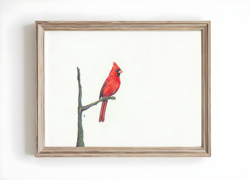 May include: A framed print featuring a vibrant red cardinal perched on a branch. The bird is depicted in detail, with a crest and a long tail. The artwork is set against a white background, framed in a light brown wooden frame.