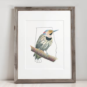 Alabama State Vogel Art Print für Wohnzimmer Kinderzimmer Galerie Wandbild Goldhammer Art Nördliche Flicker