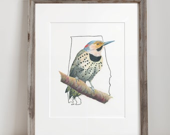 Alabama State Bird Art Print for Living Room Nursery Gallery Wall Print Yellowhammer Art Northern Flicker
