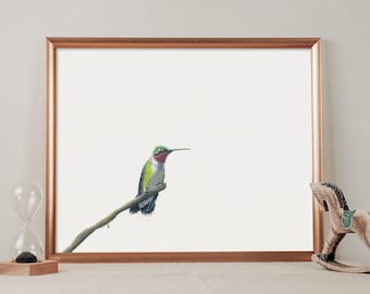 Affordable Hummingbird Art Print: Ruby-throated Hummingbird