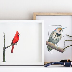 May include: Two framed bird prints. The left frame features a vibrant red cardinal perched on a branch. The right frame displays a bird illustration with a map outline. The frames are displayed on a white shelf with plants and decor.