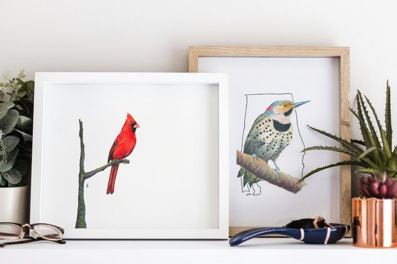 May include: Two framed bird prints. The left frame features a vibrant red cardinal perched on a branch. The right frame displays a bird illustration with a map outline. The frames are displayed on a white shelf with plants and decor.