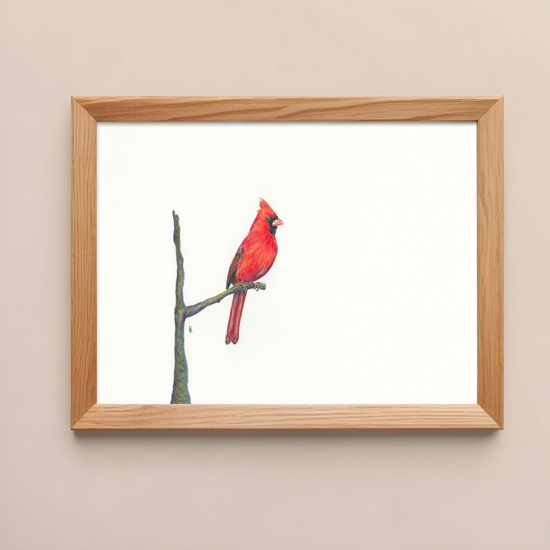 May include: A framed watercolor print featuring a vibrant red cardinal perched on a slender branch. The bird's feathers are detailed, and the artwork is set against a white background. The frame is made of light-colored wood.