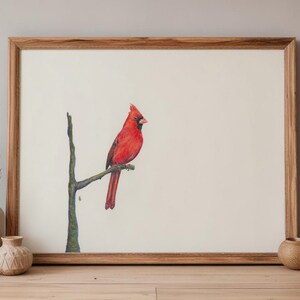 May include: A framed print featuring a vibrant red cardinal perched on a branch. The bird is set against a cream-colored background, framed by a natural wood frame. The artwork evokes a sense of nature and tranquility, suitable for home decor.