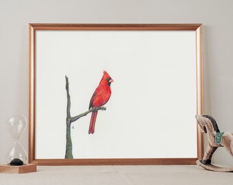 Bird Print, Nature Art, Outdoor Print: Northern Cardinal