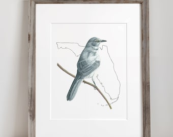 Florida State Bird Art Print for Living Room Nursery Gallery Wall Print Mockingbird Wall Decor