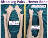 Pairs of CLEAN Bison Leg Bones - Newer Bone - Good for Carving. Natural Bones. From Mountains of New Mexico