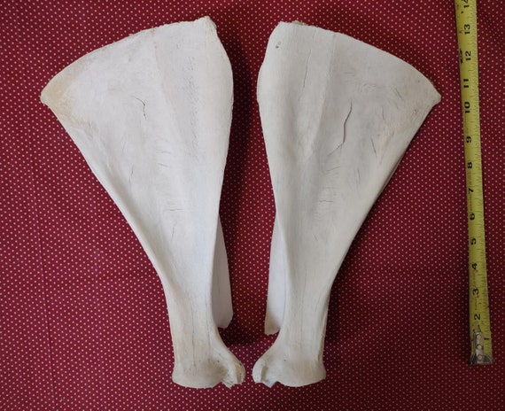 Elk Scapula Shoulder Blades Left Right Pair Weathered Bone Etsy