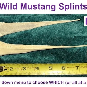 May include: Two bone splints labeled B and D, measuring approximately 8 inches long. The splints are on a green surface with a yellow measuring tape below them.