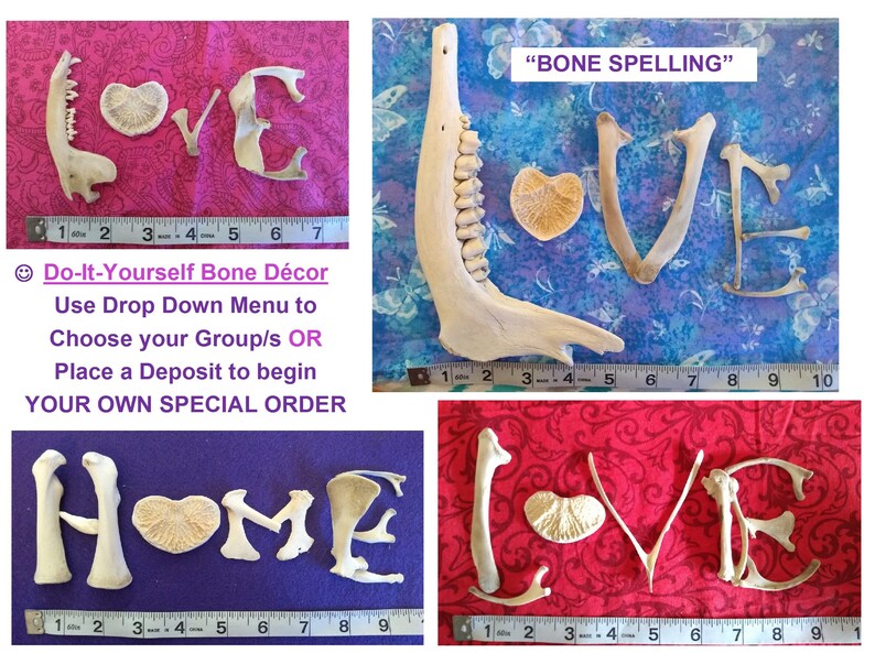 Diy Bone Decor Spell Out Love Or Your Name Etsy
