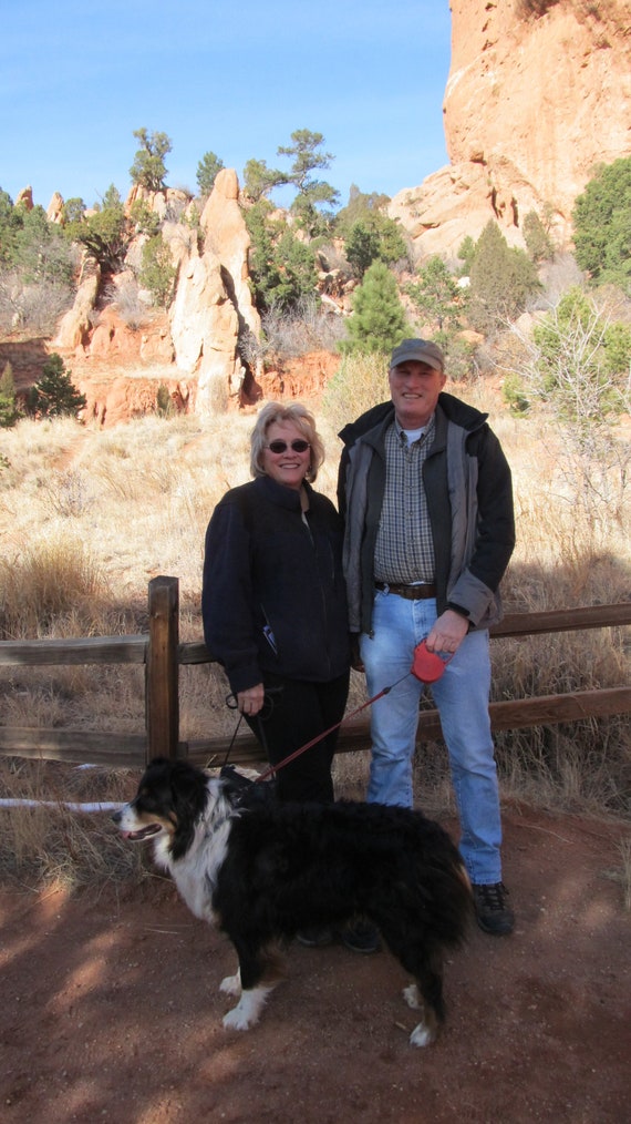 Elk Scapula Shoulder Blades Left Right Pair Weathered Bone Etsy