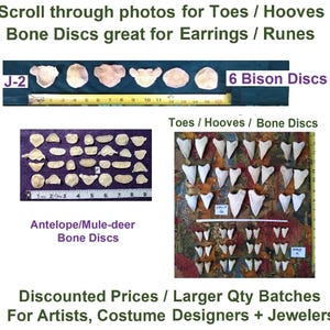 Quantity Price Small Bones for Jewelers/Costume Designers. Bone Discs and/or Toes. CLEAN/FOUND. Curios, Runes, Talismans, Throw Dem Bones :)
