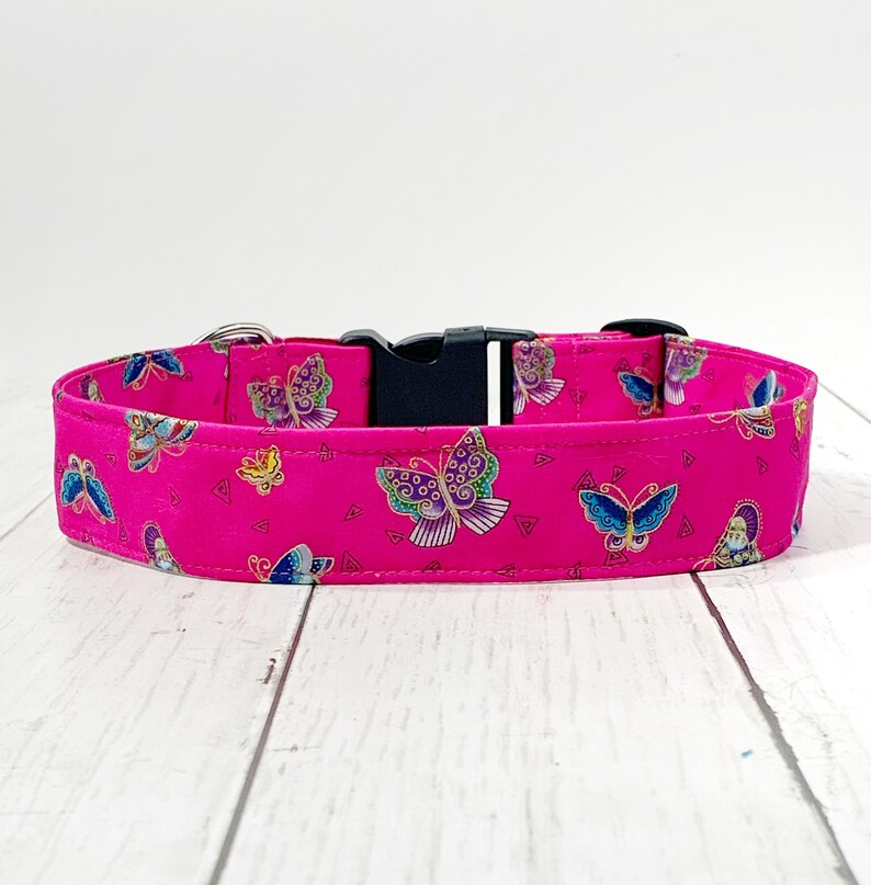 Dog Collar/ Butterfly Dog Collar/ Pink Dog Collar/ Bright Dog Etsy