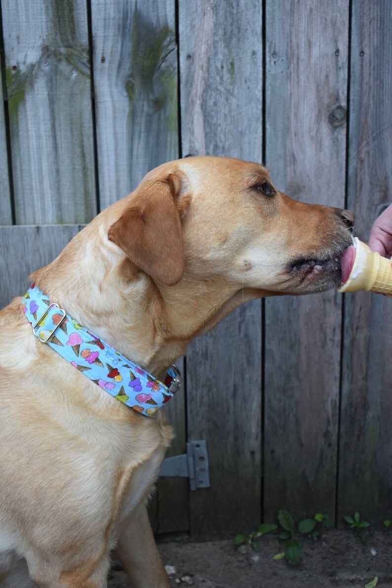 Dog Collar/ Ice Cream Dog Collar/ Light Blue Dog Collar/ Etsy